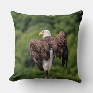 Bald Eagle on a branch Throw Pillow