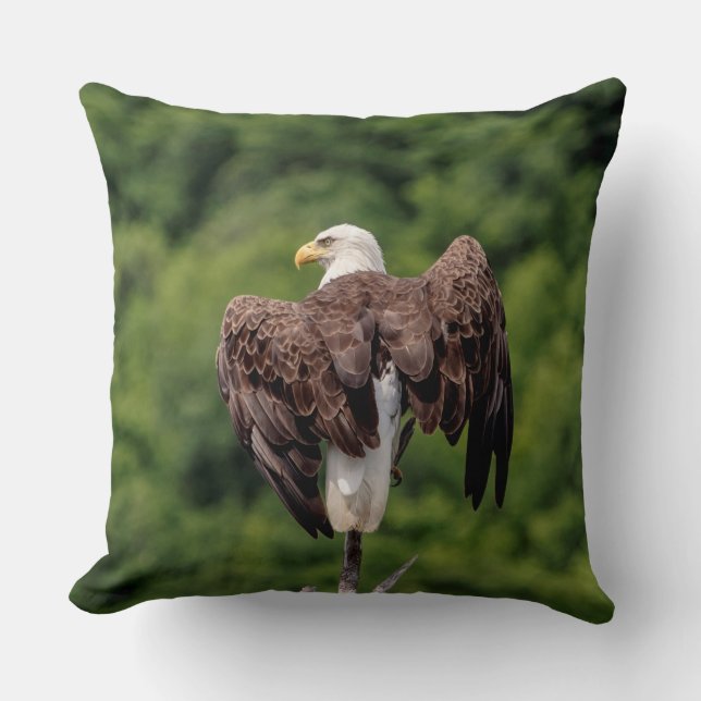 Bald Eagle on a branch Throw Pillow (Front)