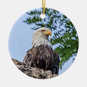 Bald Eagle on a tree branch Ceramic Ornament