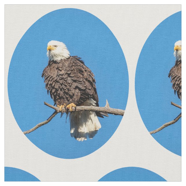 Bald Eagle on a tree branch Fabric (Close Up)