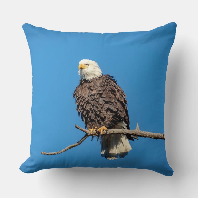 Bald Eagle on a tree branch Throw Pillow (Front)