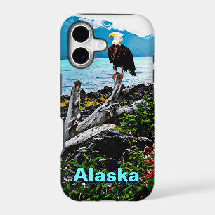 Bald Eagle On Alaska Coast