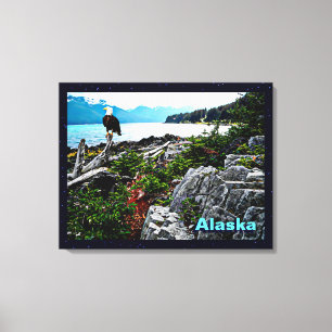 Bald Eagle On Alaska Coast Canvas Print