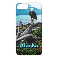 Bald Eagle On Alaska Coast