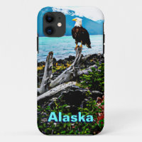 Bald Eagle On Alaska Coast