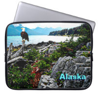 Bald Eagle On Alaska Coast