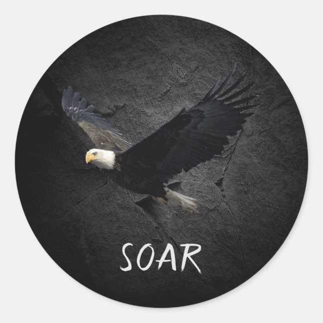 Bald Eagle on black rock Classic Round Sticker (Front)