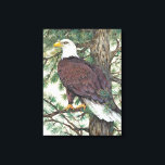 Bald Eagle on Branch Canvas Print<br><div class="desc">Bald Eage on Branch  Artist: Tim OToole</div>