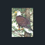 Bald Eagle on Branch Canvas Print<br><div class="desc">Bald Eage on Branch  Artist: Tim OToole</div>