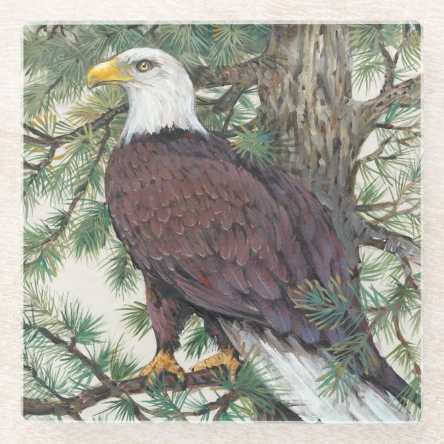 Bald Eagle on Branch Glass Coaster (Front)