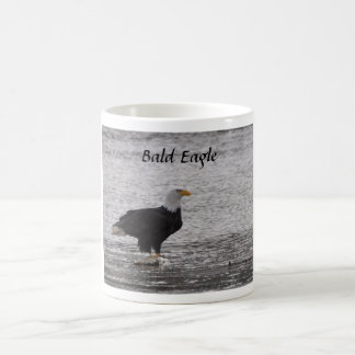 Bald Eagle on Salmon Coffee Mug