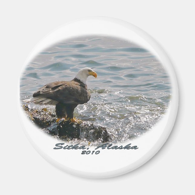 Bald Eagle on the Beach Magnet (Front)