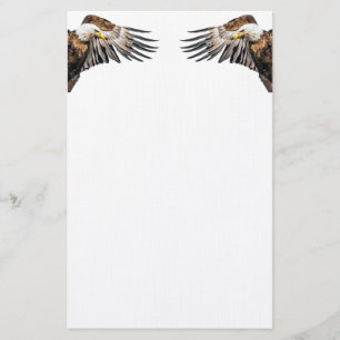 Bald Eagle on the Wing Stationery