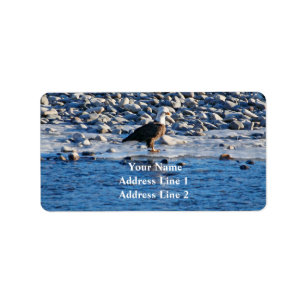 Bald Eagle on the Yellowstone Address Label
