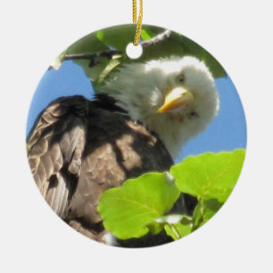 Bald Eagle Ornament