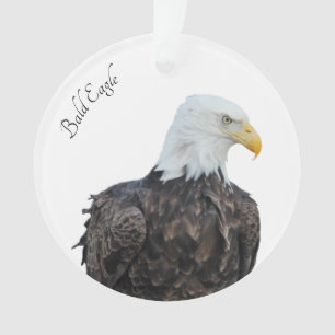 Bald Eagle Ornament