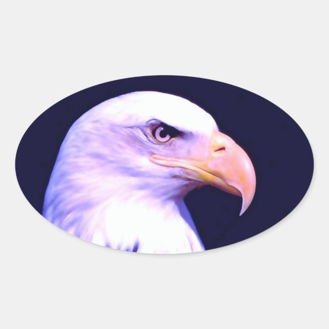 Bald Eagle Oval Sticker (Front)