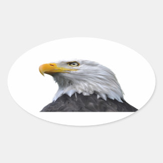 Bald Eagle Oval Sticker