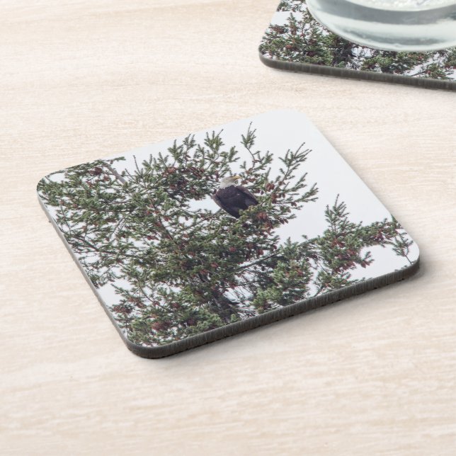 Bald Eagle P2825 Coaster (Left Side)