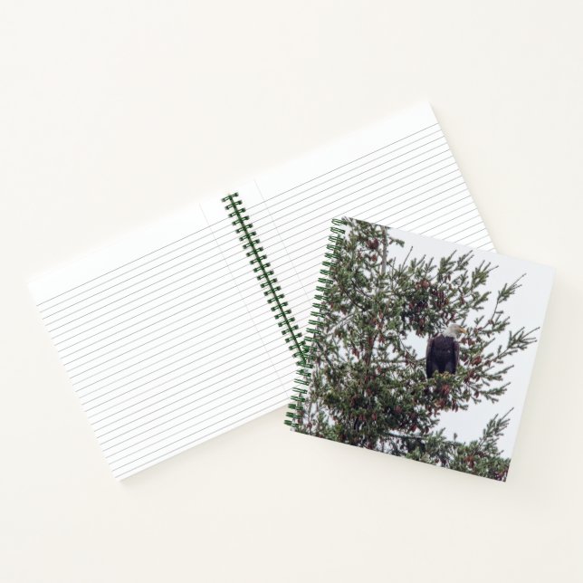 Bald Eagle P2825 Notebook (Inside)