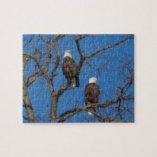 Bald Eagle Pair Jigsaw Puzzle
