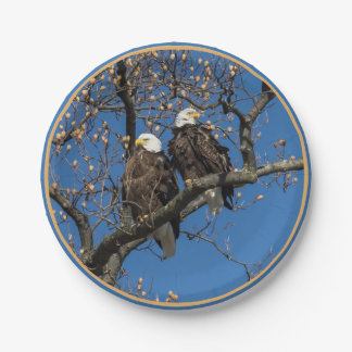 Bald Eagle Pair Paper Plate