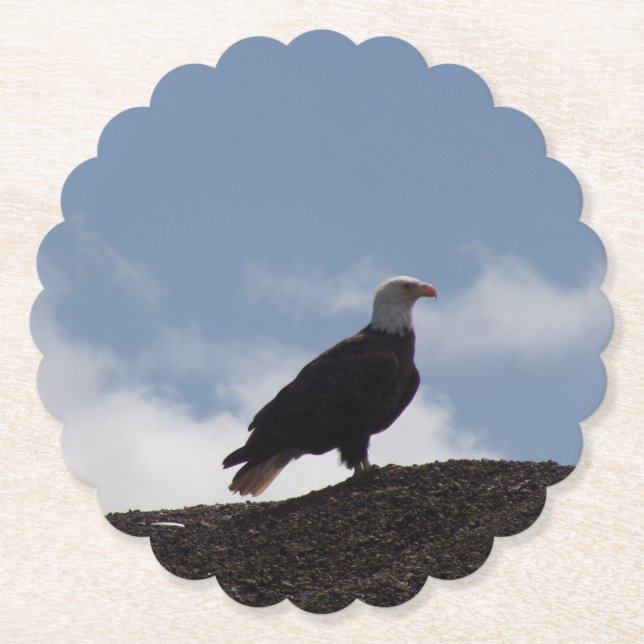 Bald Eagle Paper Coasters (Front)