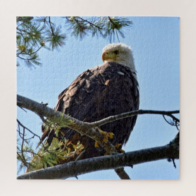 Bald Eagle Perch - 20x20 - 676 pcs. Jigsaw Puzzle (Vertical)