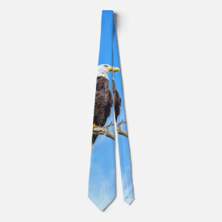 Bald Eagle Perched on a Branch Tie