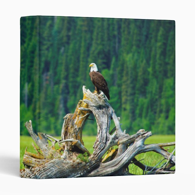 Bald Eagle Perched On Branch Binder (Front/Spine)