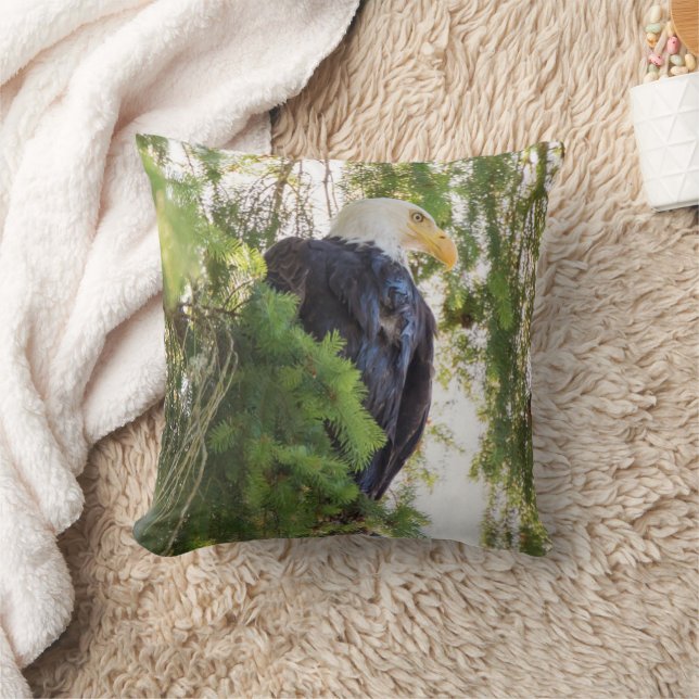 Bald Eagle perches in Douglas Fir Throw Pillow (Blanket)