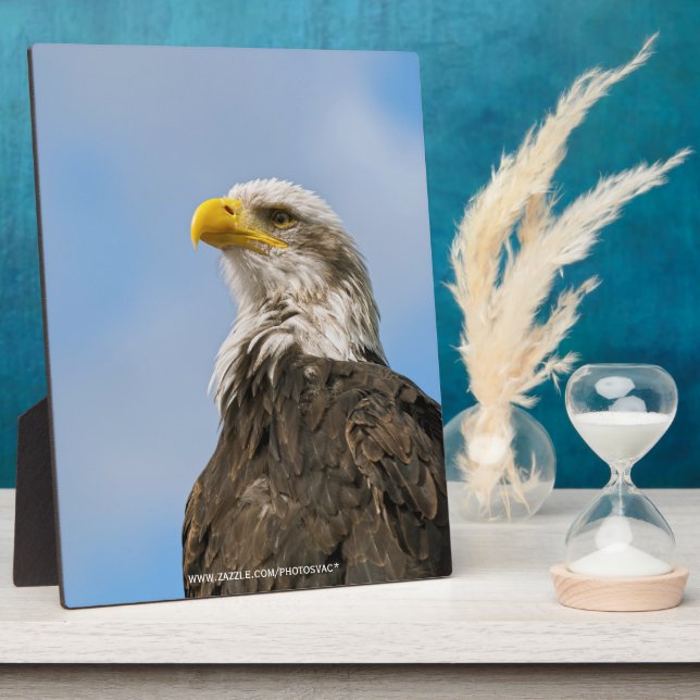 Bald Eagle Plaque (Side)