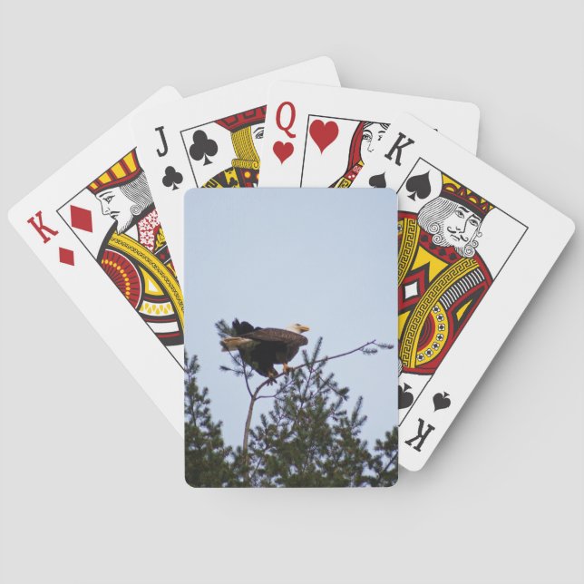 Bald Eagle Playing Cards (Back)
