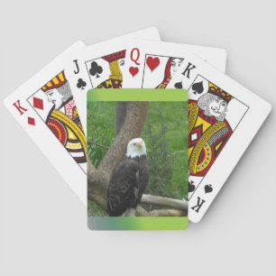 Bald Eagle Playing Cards