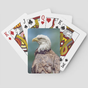 Bald Eagle Playing Cards