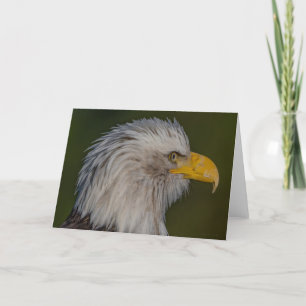 Bald Eagle Portait Thank You Card