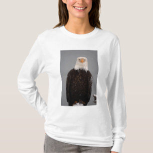 Bald Eagle Portrait in the Snow, Haliaeetus T-Shirt