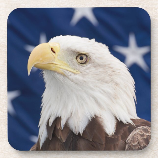 Bald Eagle Portrait with stars Coaster (Front)