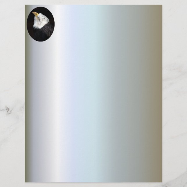 Bald Eagle Portriat (Front)