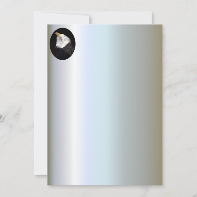 Bald Eagle Portriat (Front)