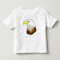 Bald Eagle Powerful Bird of Prey