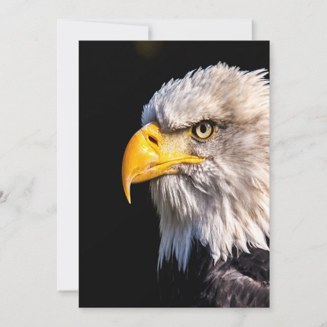 Bald Eagle Profile Blank Note Card (Front)