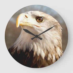 Bald Eagle Proud Profile Large Clock