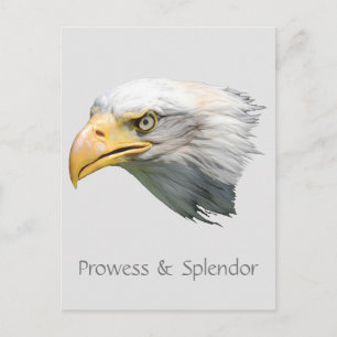 Bald Eagle Prowess & Splendour customizable Postcard
