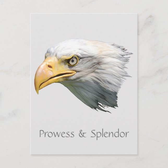 Bald Eagle Prowess & Splendour customizable Postcard (Front)