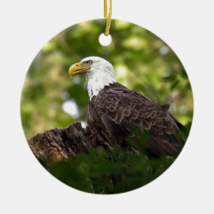 Bald Eagle Rest Stop Ceramic Ornament