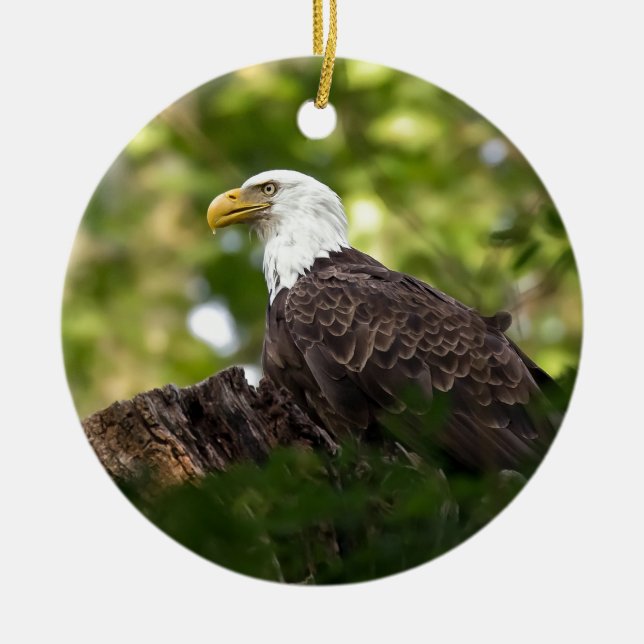 Bald Eagle Rest Stop Ceramic Ornament (Front)