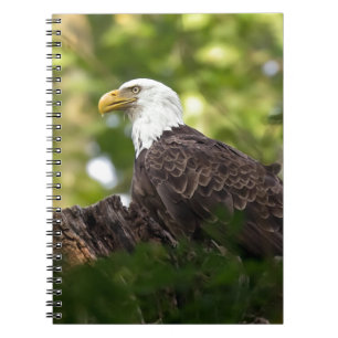 Bald Eagle Rest Stop Notebook
