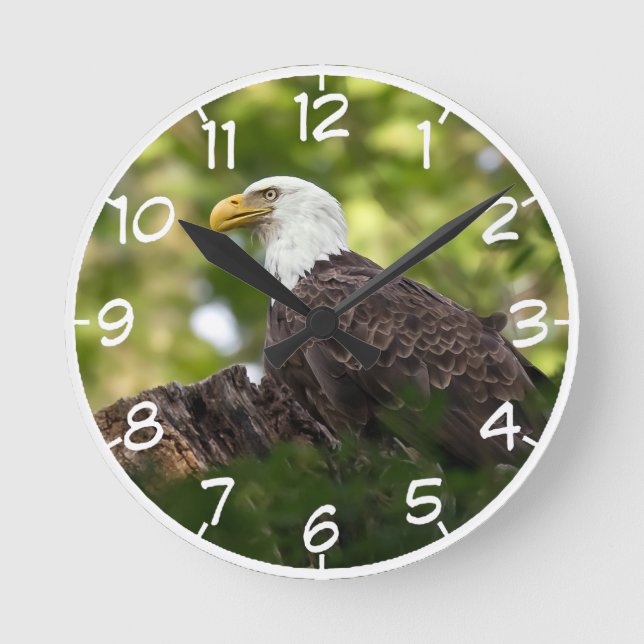Bald Eagle Rest Stop Round Clock (Front)