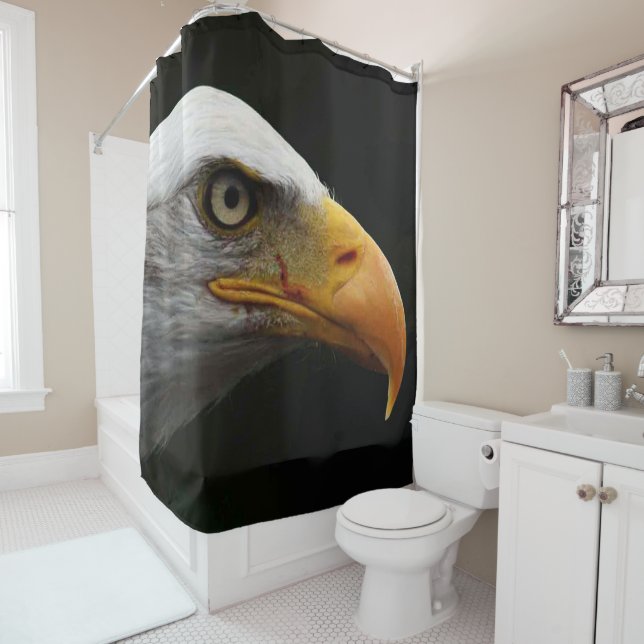 Bald Eagle sccnm (In Situ)